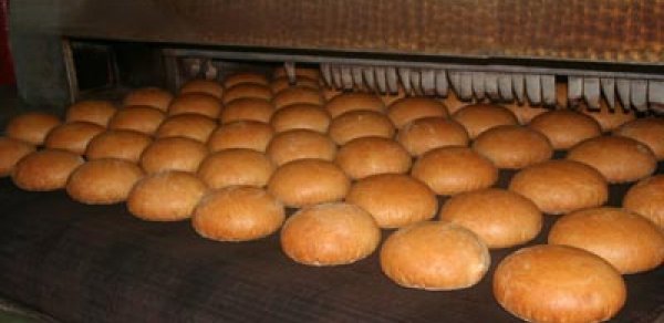 Daha bir çörək sexində qanunsuzluq aşkarlandı
