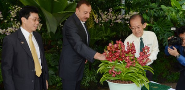 Prezident İlham Əliyevin Sinqapura səfəri başa çatdı - FOTOLAR