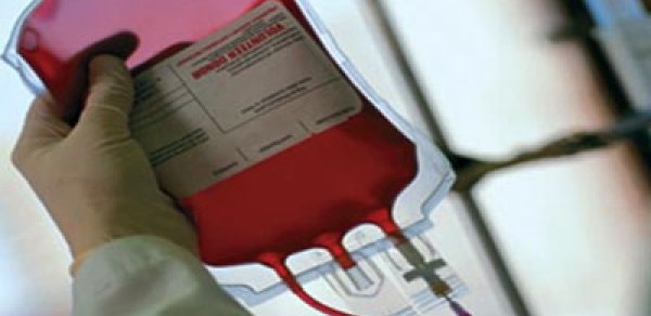 Azərbaycanda donorluğa yaş həddi qoyulacaq