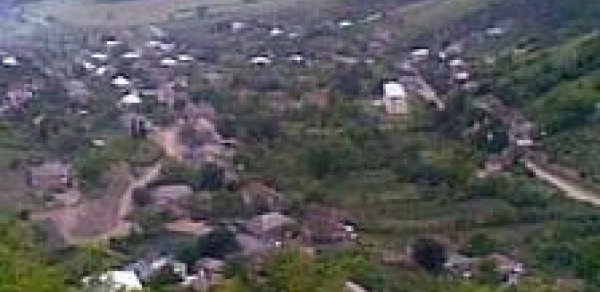Borçalıda azərbaycanlı ailələrinə hücum edənlərdən biri saxlanıldı
