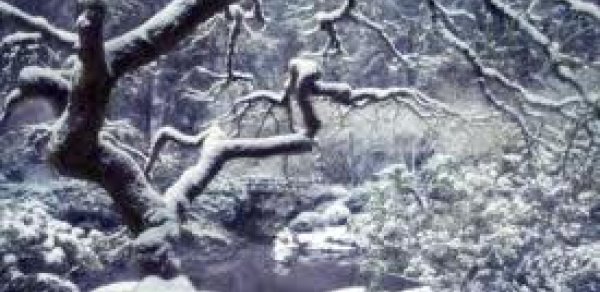 Bu gün Azərbaycanda qar yağacağı gözlənilir