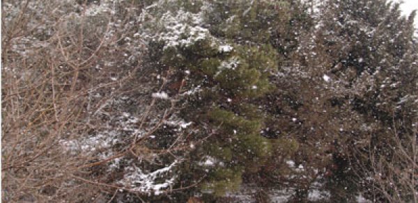 Havanın temperaturu olduqca aşağı düşəcək