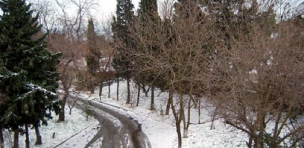 Bu gün Azərbaycanda qar yağacağı gözlənilir