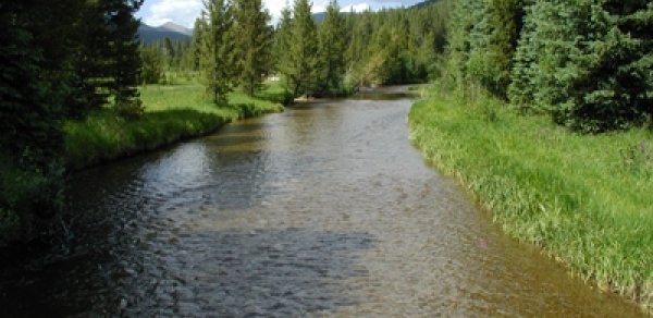 Qəbələdə maşın çaya aşdı, ölən var