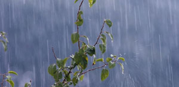 Azərbaycan ərazisində hava kəskin soyuyacaq