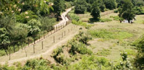 İki erməni Azərbaycana qaçdı