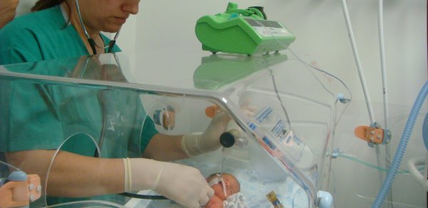 Bu il Azərbaycanda doğulan körpələrə ən çox verilən  ADLAR 