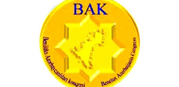 Azərbaycanlılar senatorluq institutu yaradır