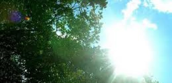 Havanın temperaturu bir qədər artacaq