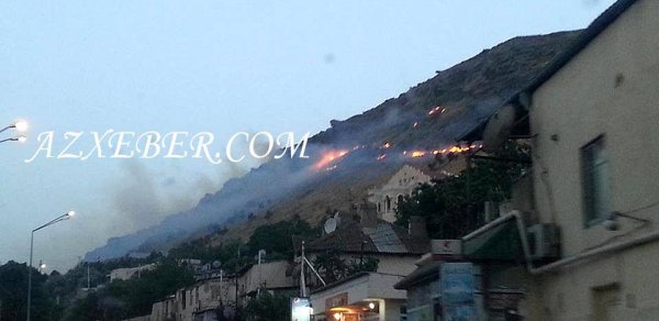 Bakıda 5 hektar ərazi belə yandı - FOTOLAR