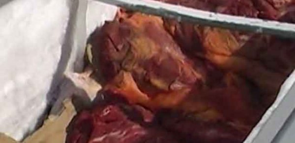 Azərbaycanda at əti satan sex aşkar olundu