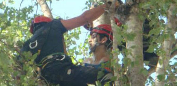 Bakıda 9-cu mərtəbədən yıxılan gənc sağ qaldı -  FOTOLAR 