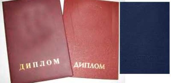 Dövlət institutlarının saxta diplomları tapıldı