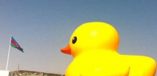 “Rezin ördəy”i Bakıda görmək istəyənlərə bəd xəbər