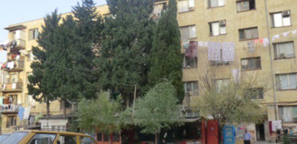 Yataqxanada yaşayan qızlar –  ‘Çimmək üçün növbəyə dururuq’