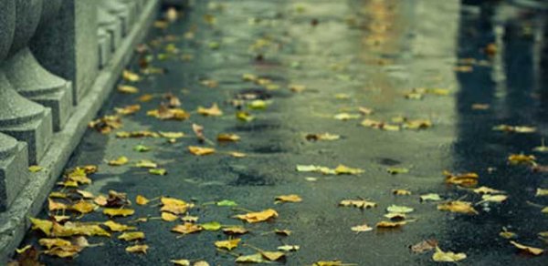 Noyabrda hava necə olacaq? - PROQNOZ