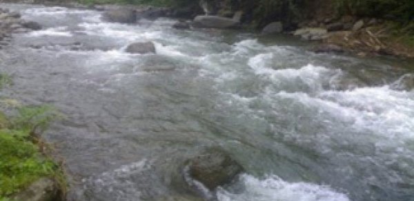 Çaylarda aparılan monitorinqlərin nəticələri açıqlanıb