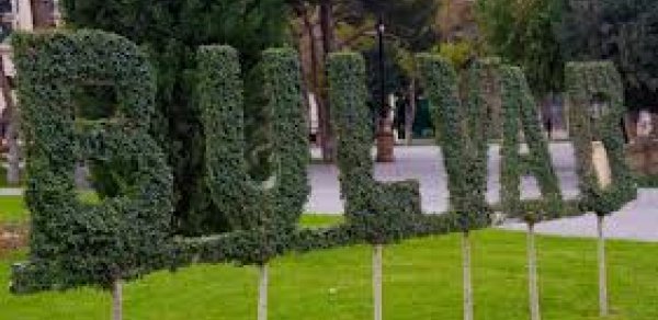 Bakı bulvarında pulsuz yenilik