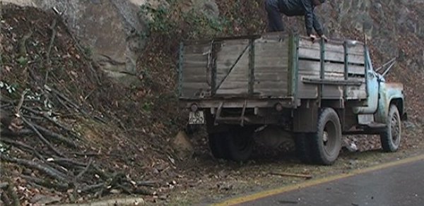 Tovuzda ağacları kəsib məktəbi qızdırırlar -  FOTOLAR