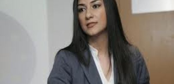 ‘Əgər aksiya edirsənsə, o zaman gizlənməyə nə ehtiyac var?’ -  Gülsel Səfərova 