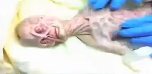 Yadplanetlinin ekspertizası hər kəsi şoka saldı -  VİDEO