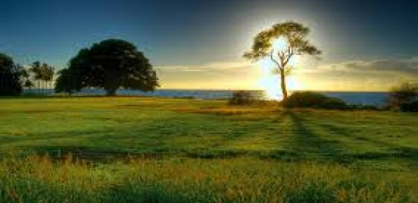 Sabaha olan hava -  PROQNOZU