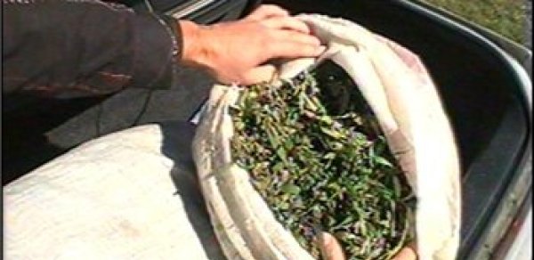 İrandan narkotik gətirən iki Azərbaycan vətəndaşı saxlanılıb