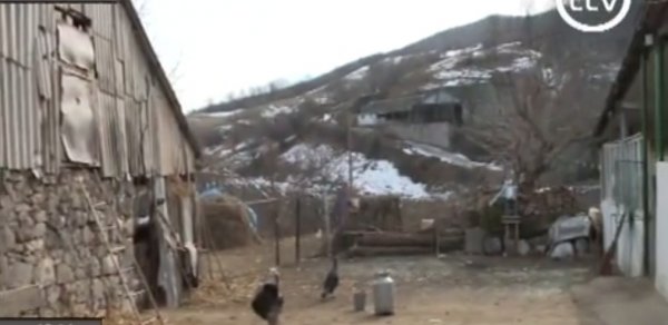 Düşmənlə üz-üzə dayanan Azərbaycan kəndi -  VİDEOREPORTAJ 