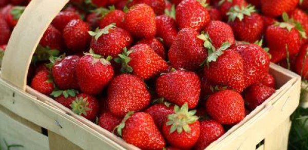 Bakıda çiyələyin dənəsi şok qiymətə satılır