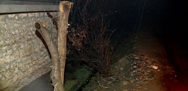Azərbaycanda toyda qan düşdü -  FOTOLAR 