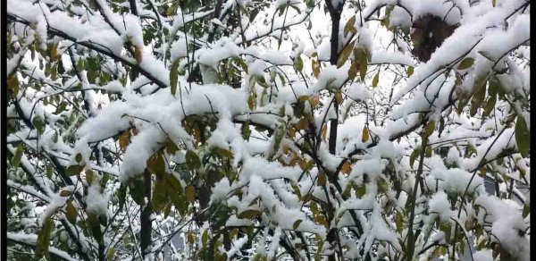 Azərbaycanda şaxtalar nə vaxta kimi davam edəcək? - Rəsmi açıqlama 