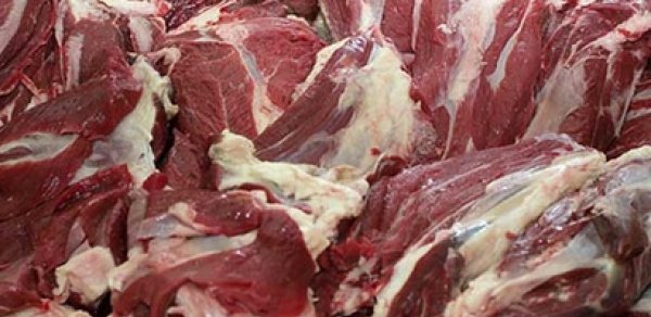 Bərdədə mənşəyi bilinməyən tonlarla ət aşkarlanıb