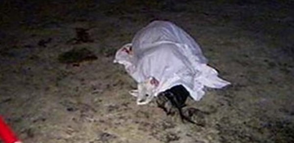 “Həzi Aslanov” metrostansiyasının yaxınlığında qadın meyidi tapıldı