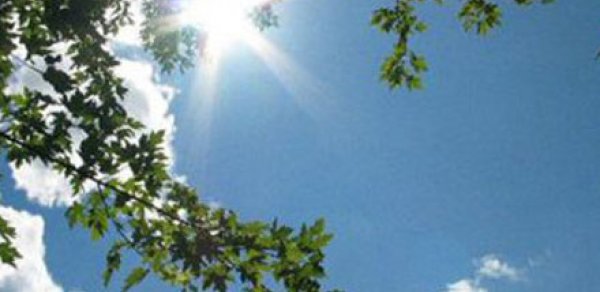 Havanın temperaturu 23 dərəcəyədək yüksələcək