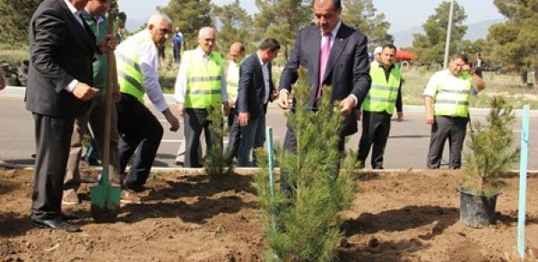 Elmar Vəliyev Gəncədə 91 mininci ağacı əkdi
