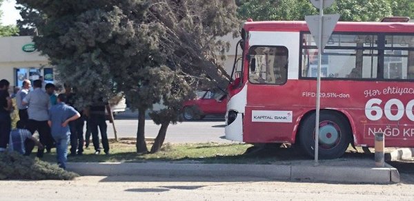 Bakıda sərnişin avtobusu ağaca belə çırpıldı –  FOTOLAR 