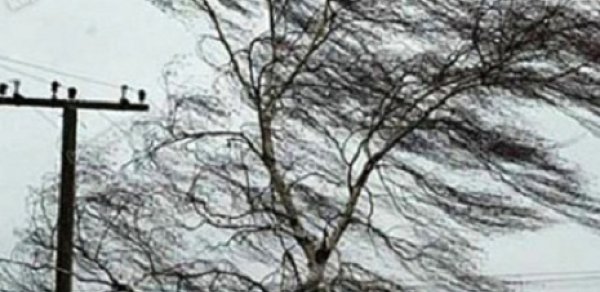 Sabah güclü külək əsəcək