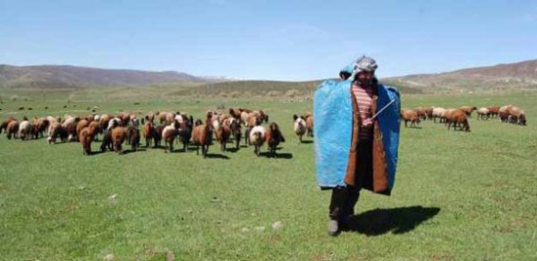 Minaya düşən azərbaycanlı çoban öldü