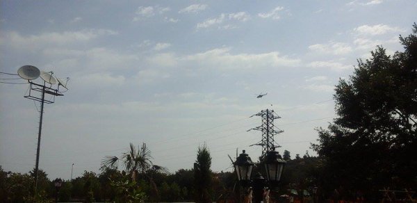 Lerikdə meşə yanğını davam edir - FOTO