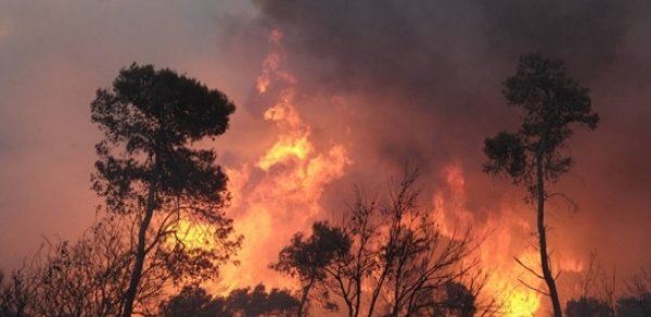 Ermənilər işğal altındakı dağlarda yanğınlar törədiblər