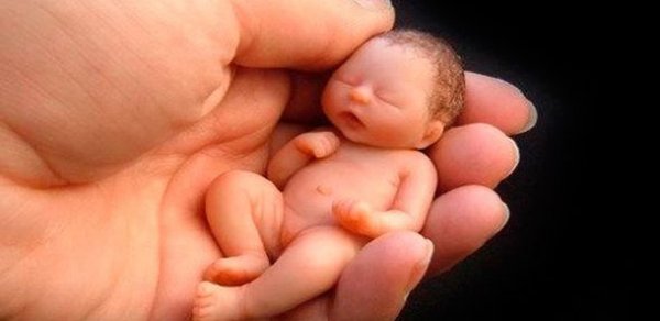 Azərbaycanda hər gün 76 abort edilir