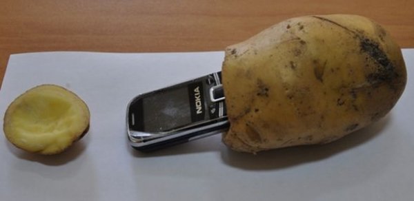 Kartofun içindən telefon çıxdı - FOTOLAR