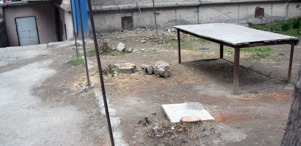 ‘Təmiz Binəqədi’də ağac ‘soyqırım’ı-  FOTOLAR 