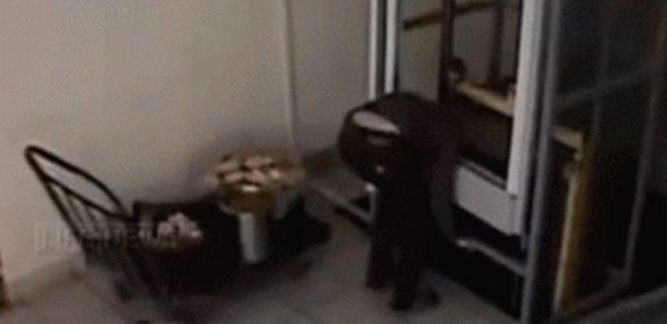 Qadının başı liftin arasında qaldı -  VİDEO 