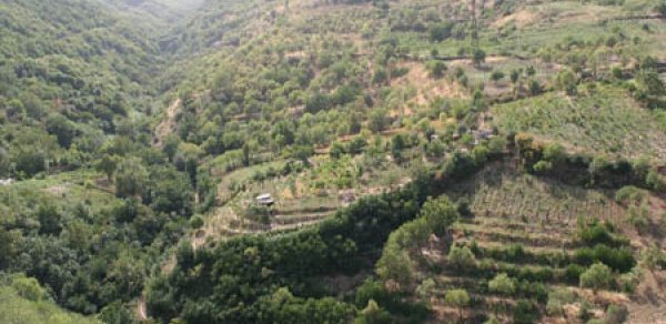 Dağıstan Azərbaycanla sərhəd rayonlarda fəaliyyətini gücləndirir