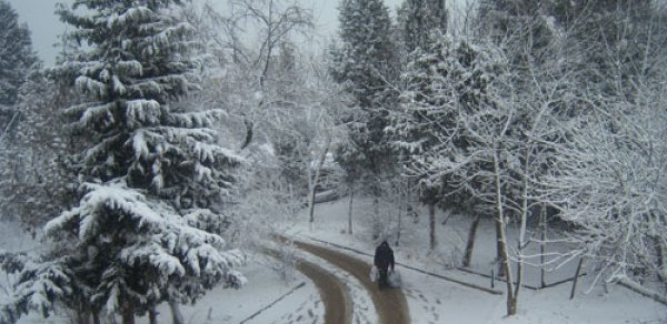 Bakıya qar yağacaq