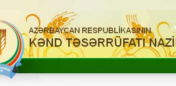 Nazirlikdə yeni təyinat