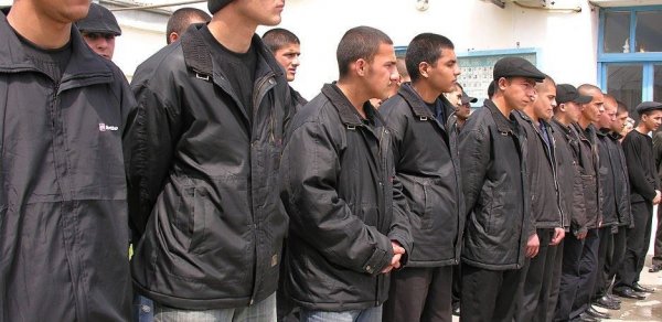 Azərbaycanda əfv sərəncamının icrasına başlanıldı