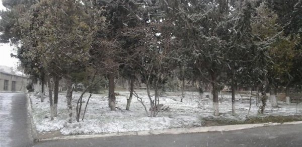 Bakıya qar yağır - FOTOLAR
