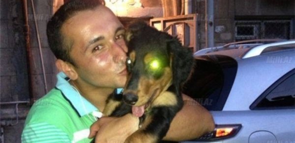 Bakıda itə görə boğazı kəsilən gəncin yeni - FOTOLARI